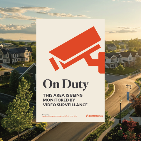 VIDEO SURVEILLANCE - CA NEIGHBORHOODS (Panel Only)